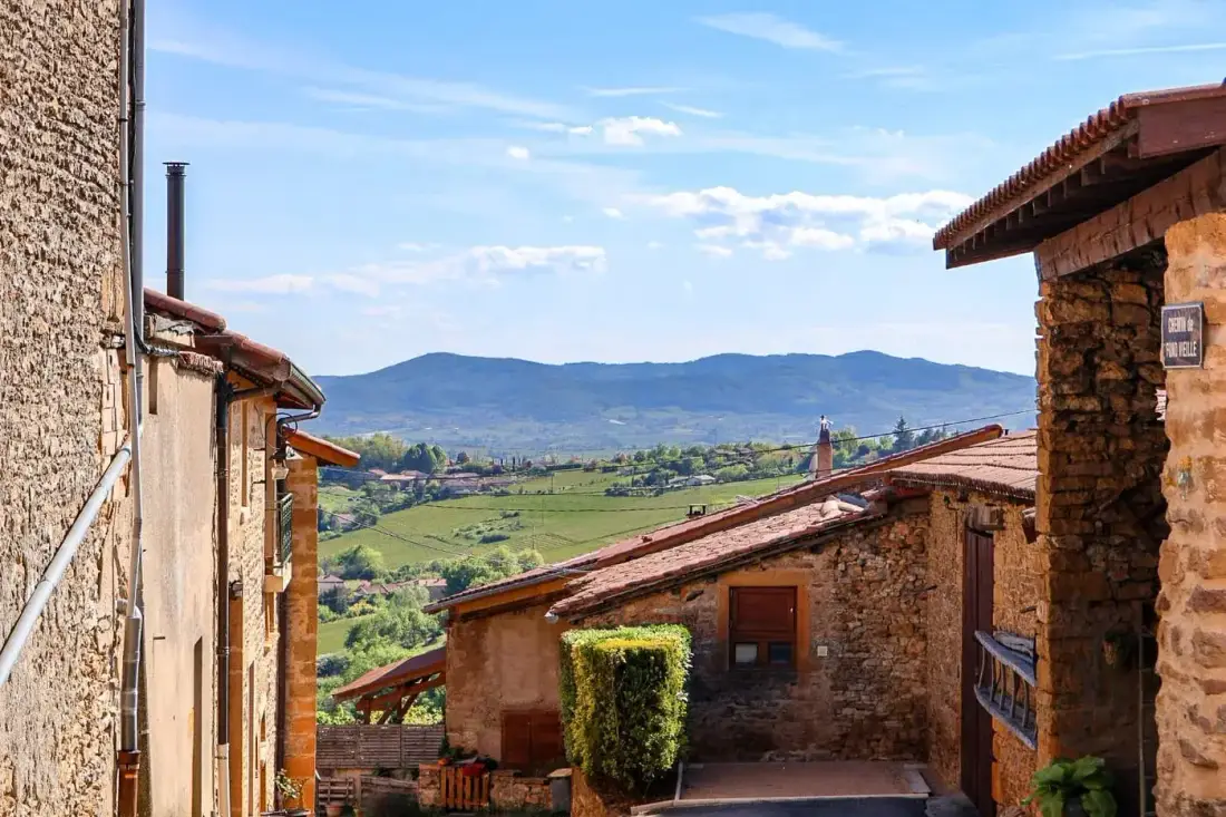 Private Beaujolais vineyard tour